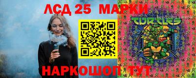 сатива Шебекино