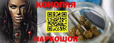 сатива Шебекино