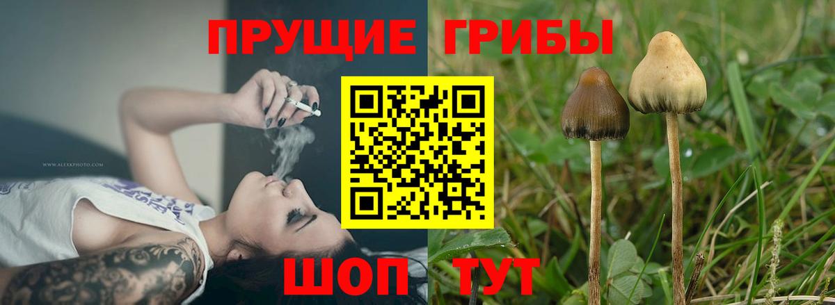 Галлюциногенные грибы MAGIC MUSHROOMS Выборг